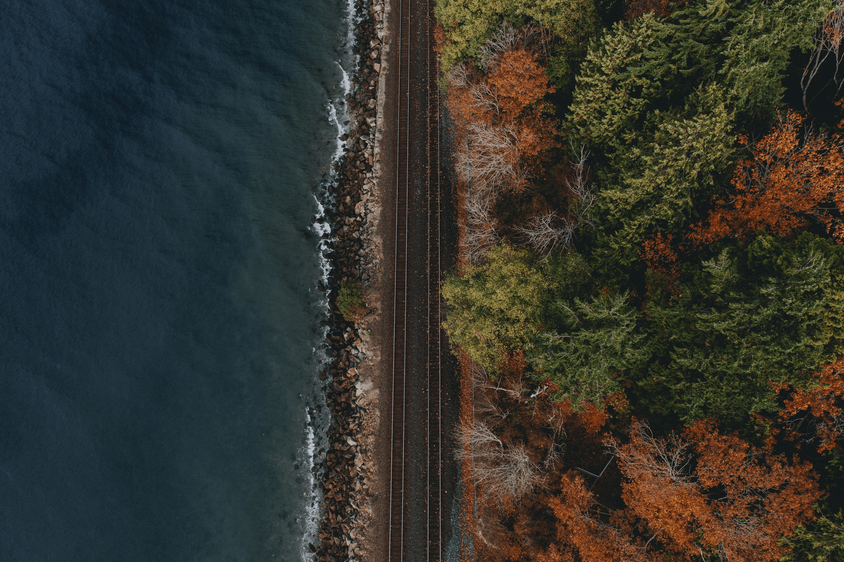 A scenic view of a sea road